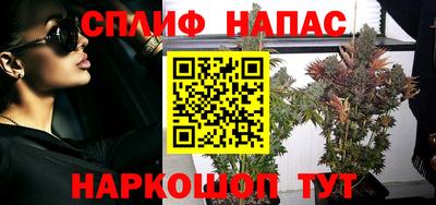 прущие грибы Комсомольск-на-Амуре