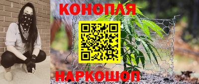 прущие грибы Комсомольск-на-Амуре