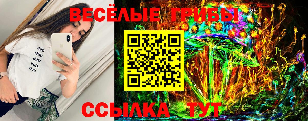 закладки  Псилоцибиновые грибы ЛСД  Вход с VPN  Псилоцибиновые грибы Psilocybine cubensis  Коряжма 