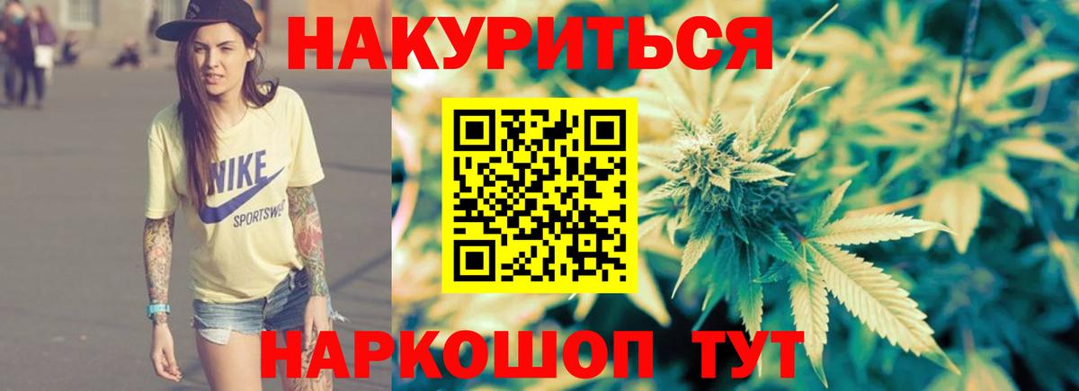 Каннабис сатива Коряжма